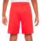 Nike Kinderen PSG 2025-2026 Derde Shorts