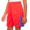 Nike Kinderen PSG 2025-2026 Derde Shorts