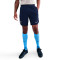 Nike Tottenham Hotspur FC 2025-2026 Training Shorts