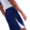 Nike Tottenham Hotspur FC 2025-2026 Training Shorts