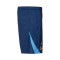 Nike Tottenham Hotspur FC 2025-2026 Training Shorts