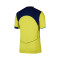 Nike Tottenham Hotspur FC Authentiek 2025-2026 Derde Shirt