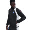 Nike Paris Fc 2025-2026 Fanswear Jack