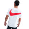 Nike PSG 2025-2026 Fanswear T-Shirt