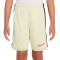 Nike Kinderen Academie Shorts