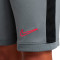 Nike Academy 25 Niño Shorts