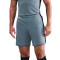 Nike Academy 25 Shorts