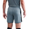 Nike Academy 25 Shorts