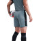 Nike Academy 25 Shorts