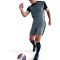 Nike Academy 25 Shorts