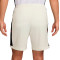 Nike Academie 25 Shorts