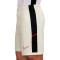 Nike Academie 25 Shorts