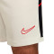 Nike Academie 25 Shorts