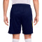 Nike Strike Shorts