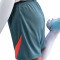 Nike Vrouwenstaking Shorts
