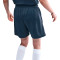 Nike Vrouwenstaking Shorts