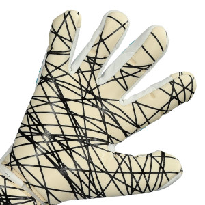 PALM-1