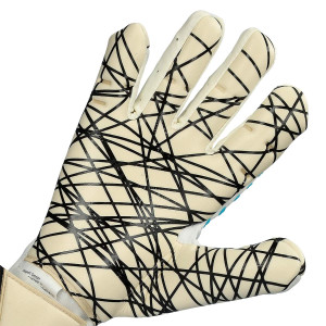 PALM-1