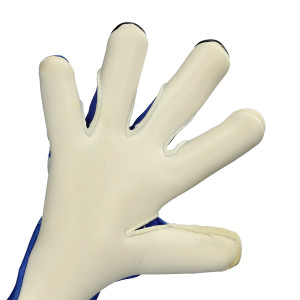PALM-1