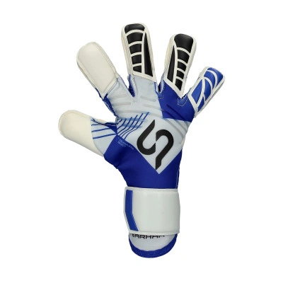 Earhart-wedstrijd Handschoen