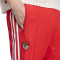 adidas Slb Benfica 2025-2026 Fanswear Lange broek