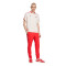 adidas Slb Benfica Fanswear 2025-2026 T-Shirt