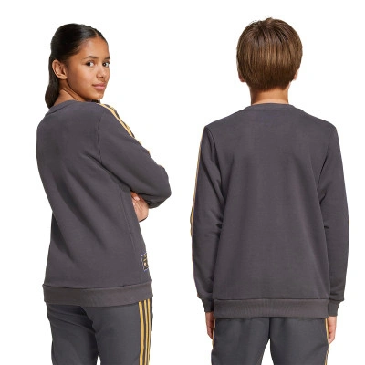 Kinderen Manchester United Fanswear Icons Fanswear 2025-2026 Sweatshirt