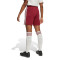 adidas Kinderen Arsenal Fc 2025-2026 Derde Shorts