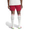 adidas Arsenal FC 2025-2026 Derde Kit Shorts