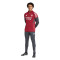 adidas Arsenal Fc 2025-2026 Training Lange broek