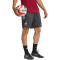 adidas Arsenal Fc 2025-2026 Training Shorts