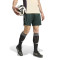 adidas Juventus-training 2025-2026 Shorts