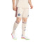 adidas Ajax 2025-2026 Derde Shorts