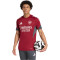 adidas Arsenal FC 2025-2026 Training T-Shirt