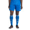 adidas Real Madrid 2025-2026 Derde Shorts