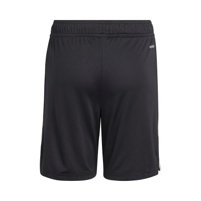 Fc Bayern 2025-2026 Derde Shorts