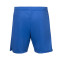 adidas Olympique Lyon 2025-2026 Fanswear Shorts