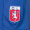 adidas Olympique Lyon 2025-2026 Fanswear Shorts