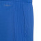 adidas Olympique Lyon 2025-2026 Fanswear Shorts