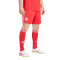 adidas Fc Bayern 2025-2026 Derde Shorts