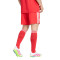 adidas Fc Bayern 2025-2026 Derde Shorts