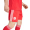 adidas Fc Bayern 2025-2026 Derde Shorts