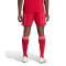 adidas Liverpool Fc 2025-2026 Thuis Shorts