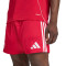 adidas Liverpool Fc 2025-2026 Thuis Shorts