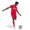 adidas Liverpool Fc 2025-2026 Thuis Shorts
