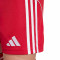adidas Kinderen Liverpool FC 2025-2026 Thuis Shorts