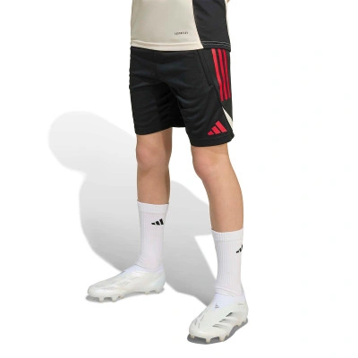 Liverpool FC 2025-2026 Training Shorts