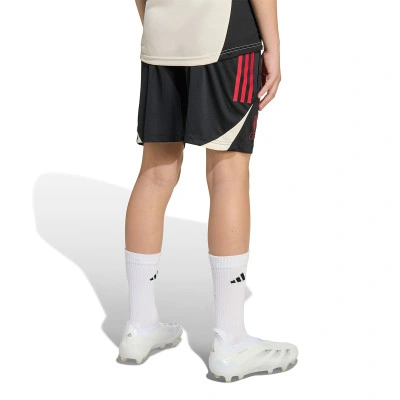 Liverpool FC 2025-2026 Training Shorts
