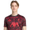 adidas Liverpool Fc Pre-Match 2025-2026 Shirt
