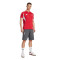 adidas Liverpool FC 2025-2026 Fanswear T-Shirt